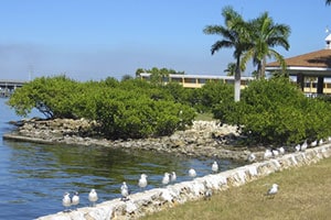 Punta Gorda